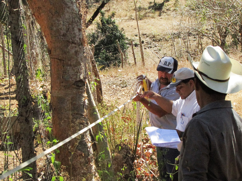 Equipo técnico del ILP realizó la inspección de lindero y verificación de colindantes en la Comunidad “ADESCO San Francisco” en el municipio de Victoria, Cabañas.